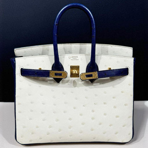 Birkin 25 Nata/Blue Iris Ostrich