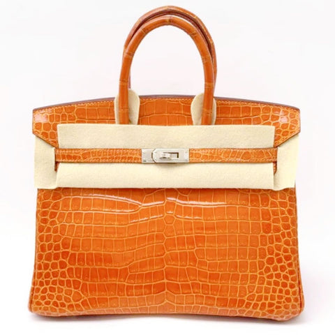 Birkin 25 Orange Shiny Porosus