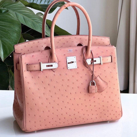 Birkin 30 Terre Cuite Ostrich