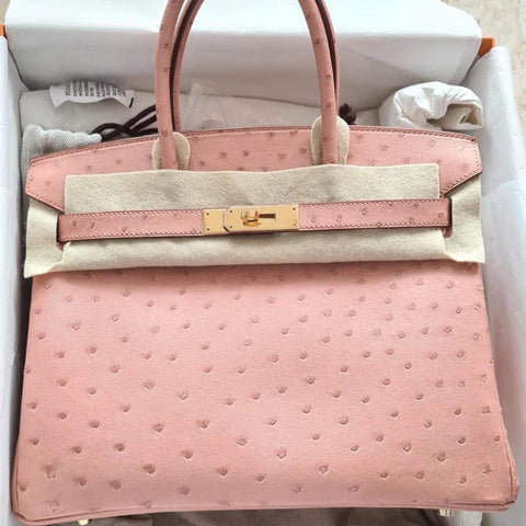 Birkin 30 Terre Cuite Ostrich