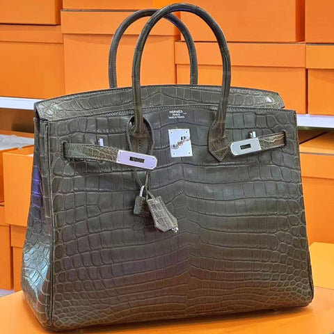 Birkin 35 Cocoan Matte Niloticus
