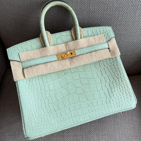 Birkin 25 Vert d'Eau Matte Alligator