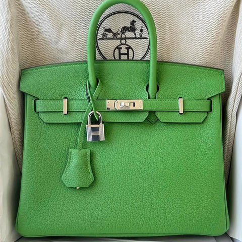 Birkin 25 Vert Yucca Togo