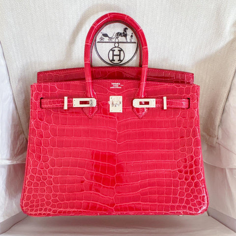 Birkin 25 Braise Shiny Niloticus