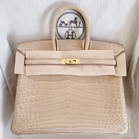 Birkin 25 Poussiere Matte Niloticus