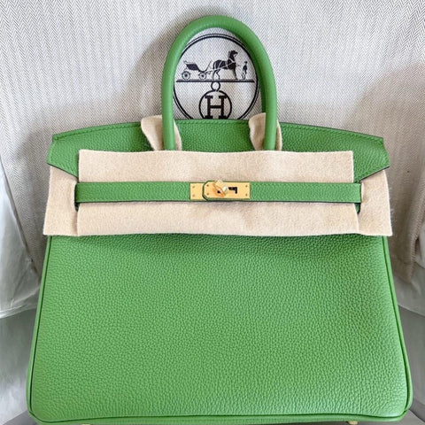 Birkin 25 Vert Yucca Togo