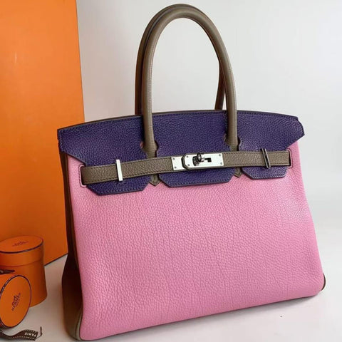 Birkin 30 Bubblegum/Iris/Etoupe Togo