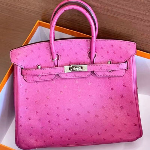 Birkin 25 Fuchsia Ostrich