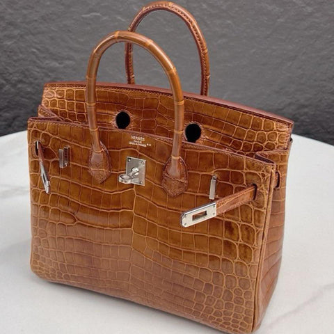 Birkin 25 Miel Shiny Niloticus