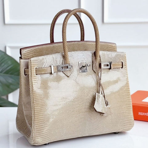 Birkin 25 Ficelle Shiny Lizard