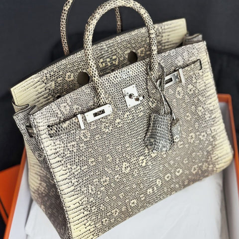Birkin 25 Ombre Lizard