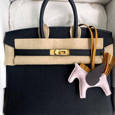 Birkin 25 Black Togo