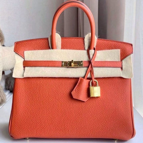 Birkin 25 Terre Battue Togo
