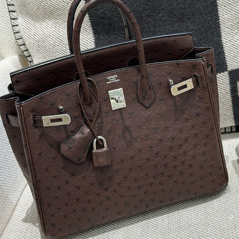 Birkin 25 Chocolate Ostrich