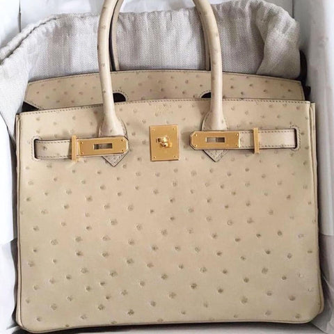 Birkin 30 Parchemin Ostrich
