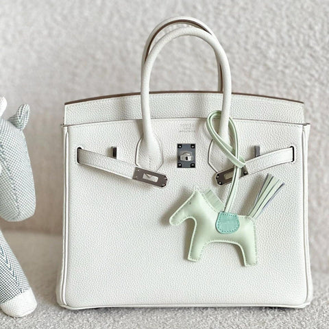 Birkin 25 Mushroom Togo