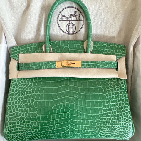 Birkin 30 Cactus Shiny Porosus