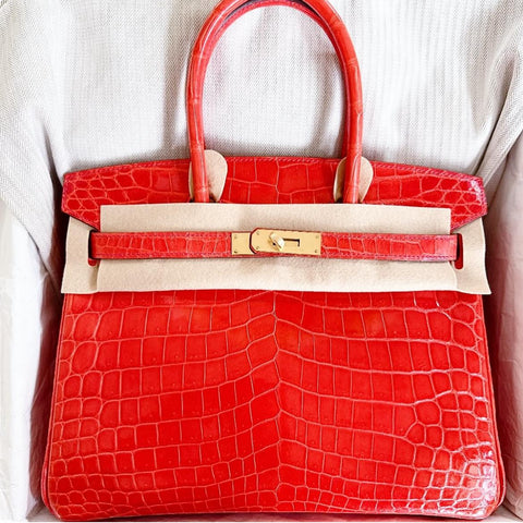 Birkin 30 Geranium Shiny Niloticus