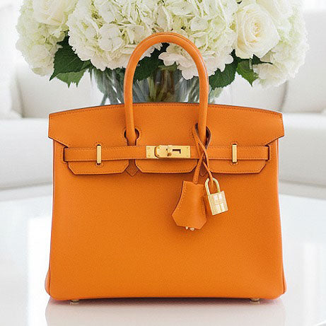 Birkin 25 Orange Evercolor