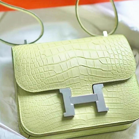 Constance 18 Jaune Bourgeon Matte Alligator