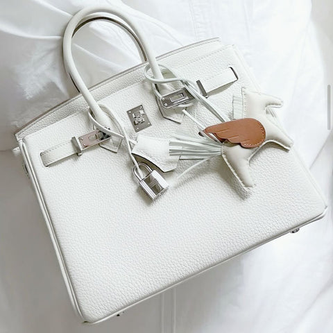 Birkin 25 Gris Perle Togo