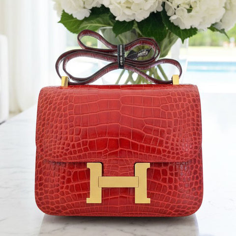 Constance 24 Braise Shiny Alligator