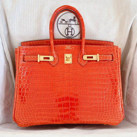 Birkin 25 Orange Shiny Porosus