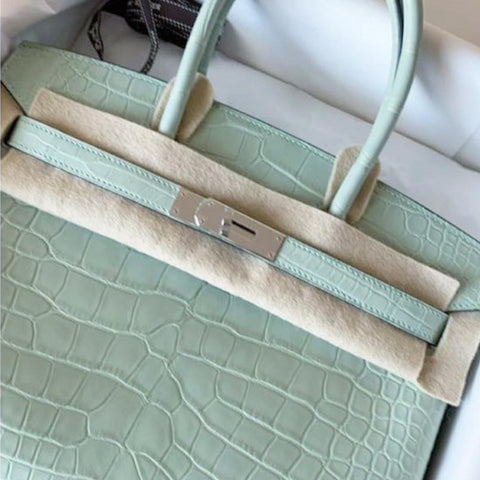 Birkin 30 Vert d'Eau Matte Alligator