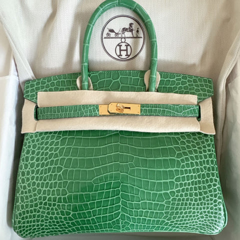Birkin 30 Cactus Shiny Porosus