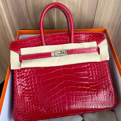 Birkin 25 Braise Shiny Alligator