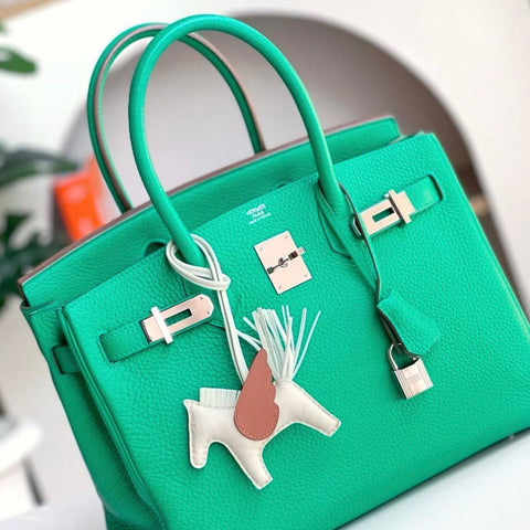Birkin 30 Menthe Clemence