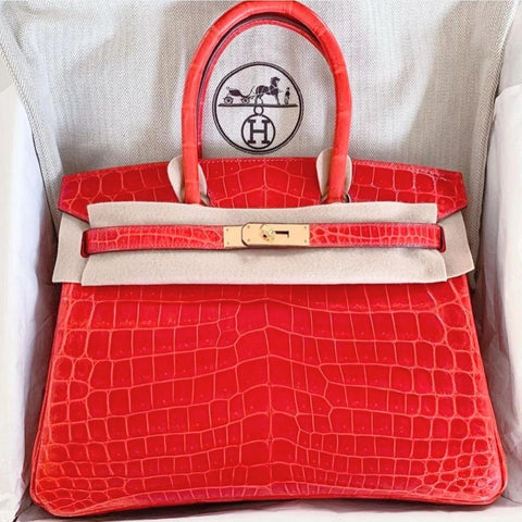 Birkin 30 Geranium Shiny Niloticus