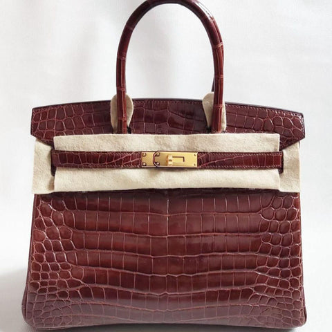 Birkin 30 Miel Shiny Niloticus