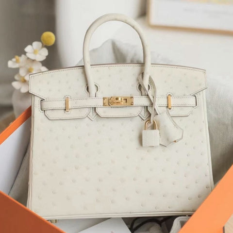 Birkin 25 Beton Ostrich