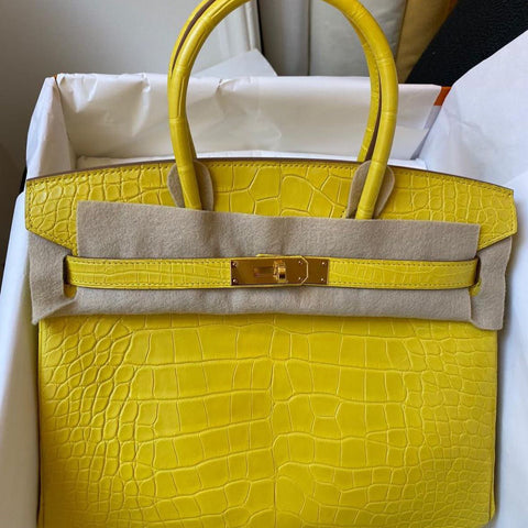 Birkin 30 Soleil Matte Alligator