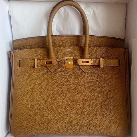Birkin 25 Bronze Dore Togo