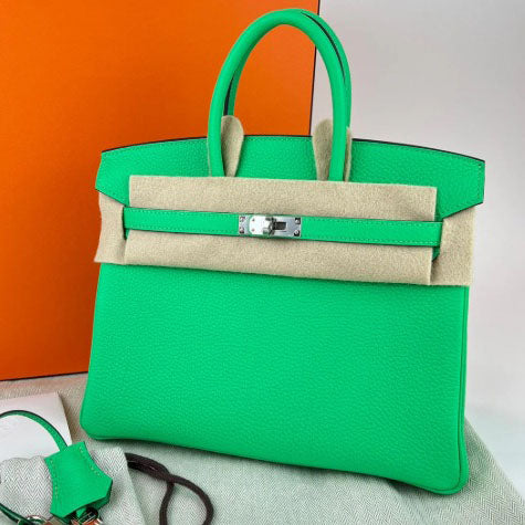 Birkin 25 Vert Comics Togo