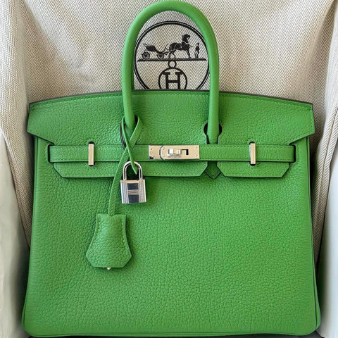 Birkin 25 Vert Yucca Togo