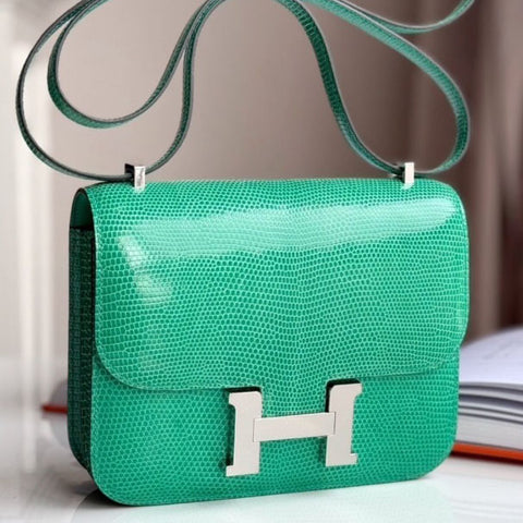 Constance 18 Menthe Shiny Lizard