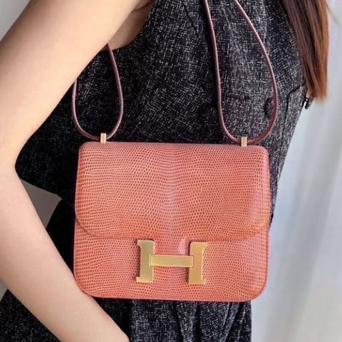 Constance 18 Rosy Shiny Lizard