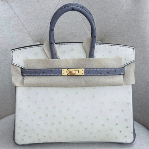 Birkin 25 Nata/Gris Agate Ostrich