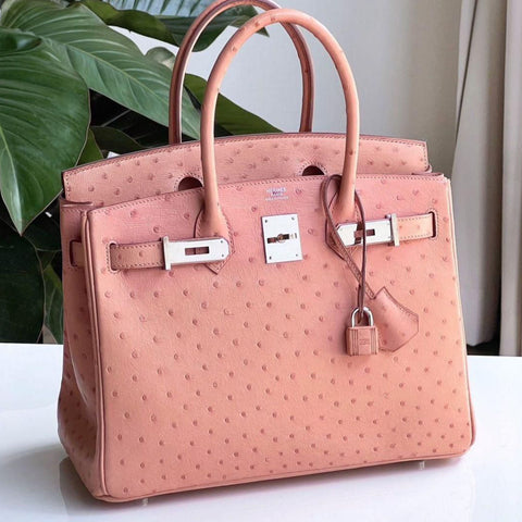 Birkin 30 Terre Cuite Ostrich