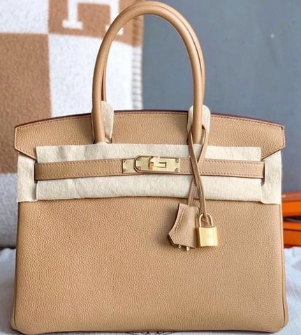 Birkin 30 Biscuit Togo