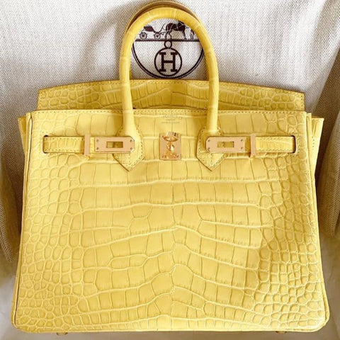 Birkin 25 Mimosa Matte Alligator